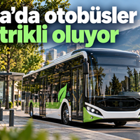 Bursa