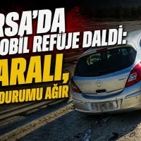 Bursa