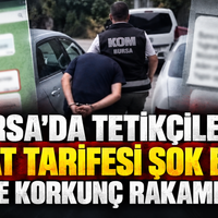 Bursa