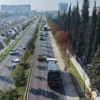 Bursa