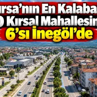 Bursa