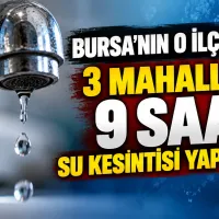 Bursa