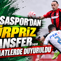 Spor
