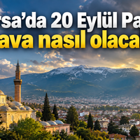 Bursa