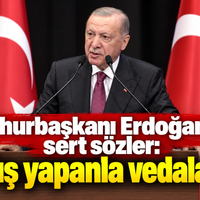 Siyaset