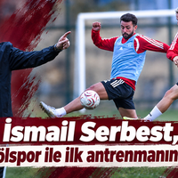 Spor