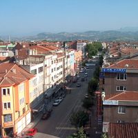Bursa