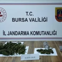 Asayiş