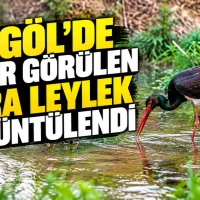 İnegöl