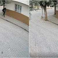 Asayiş