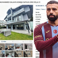 Spor