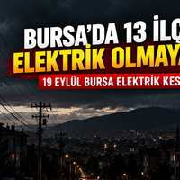 Bursa