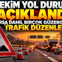 Bursa