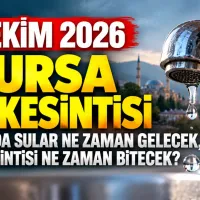 Bursa