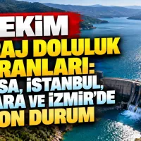 Bursa