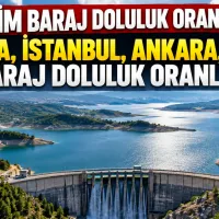 Bursa