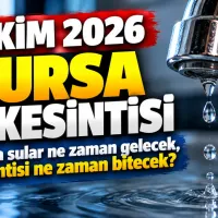 Bursa
