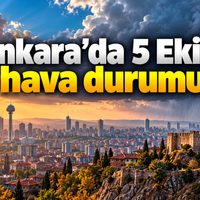 Genel