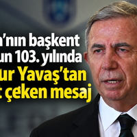 Siyaset