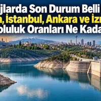 Bursa