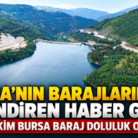 Bursa