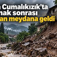 Bursa