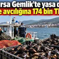 Bursa