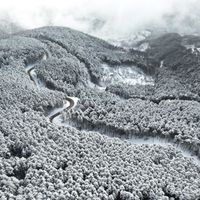 Bursa