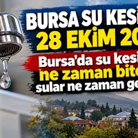 Bursa