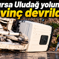 Bursa