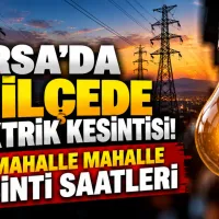 Bursa