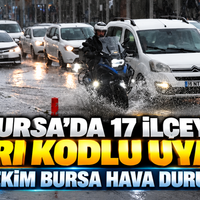 Bursa