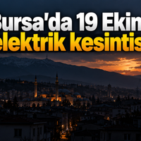 Bursa