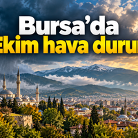 Bursa