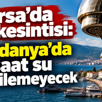 Bursa