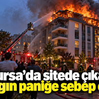 Bursa