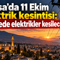 Bursa