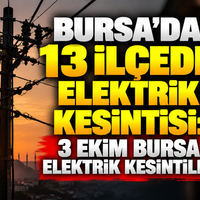 Bursa