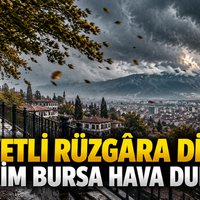 Bursa