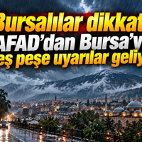 Bursa
