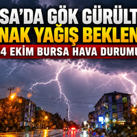 Bursa