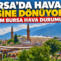 Bursa