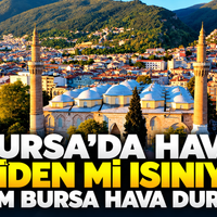 Bursa