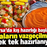 Bursa