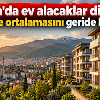 Bursa