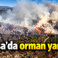Bursa
