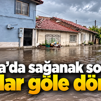 Bursa