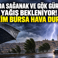 Bursa