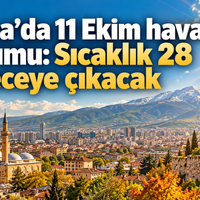 Bursa