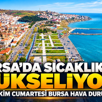 Bursa